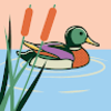 puddle9333